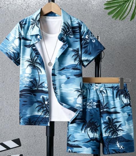 하와이 열대 해변 풍경 남성 코디 세트 턴다운 칼라 버 - Beach Shirt Hawaiian 리뷰 및 가격