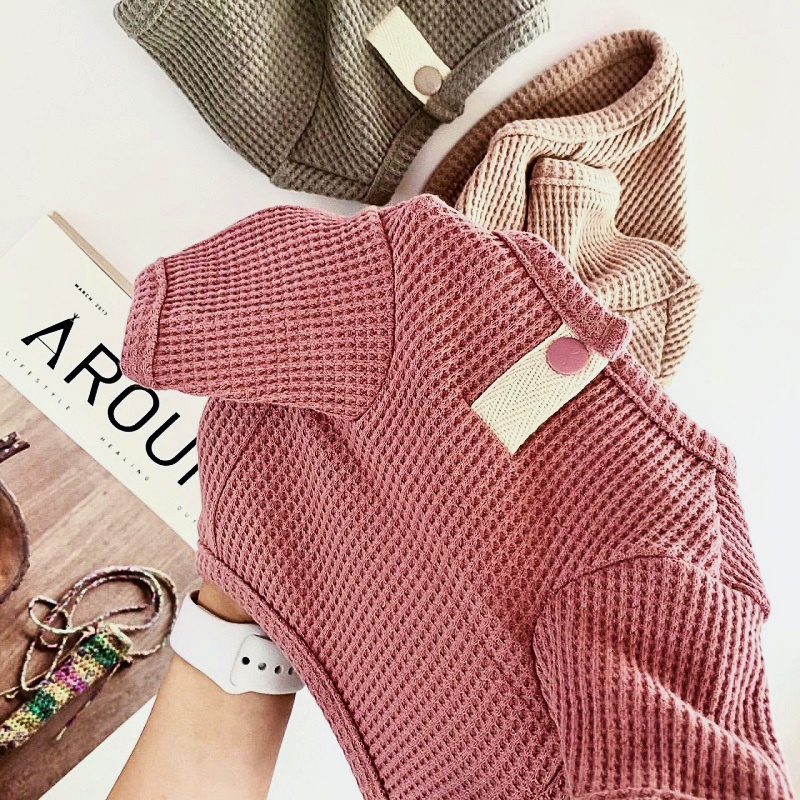 여름 애완 동물 셔츠 작은 중형 개 조끼를위한 솔리드  - Summer Clothing In French 리뷰 및 가격